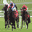 Horse Racing Tips UK IRELAND