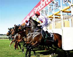 british horse race