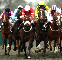Horse Racing Tips UK IRELAND